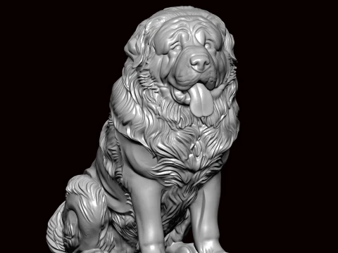 Newfoundland Dog Seating Pose 3D Model