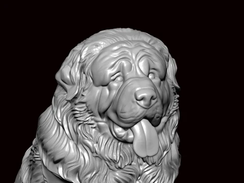 Newfoundland Dog Seating Pose 3D Model
