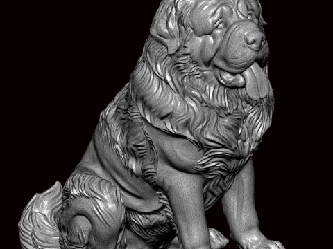 Newfoundland Dog Seating Pose 3D Model