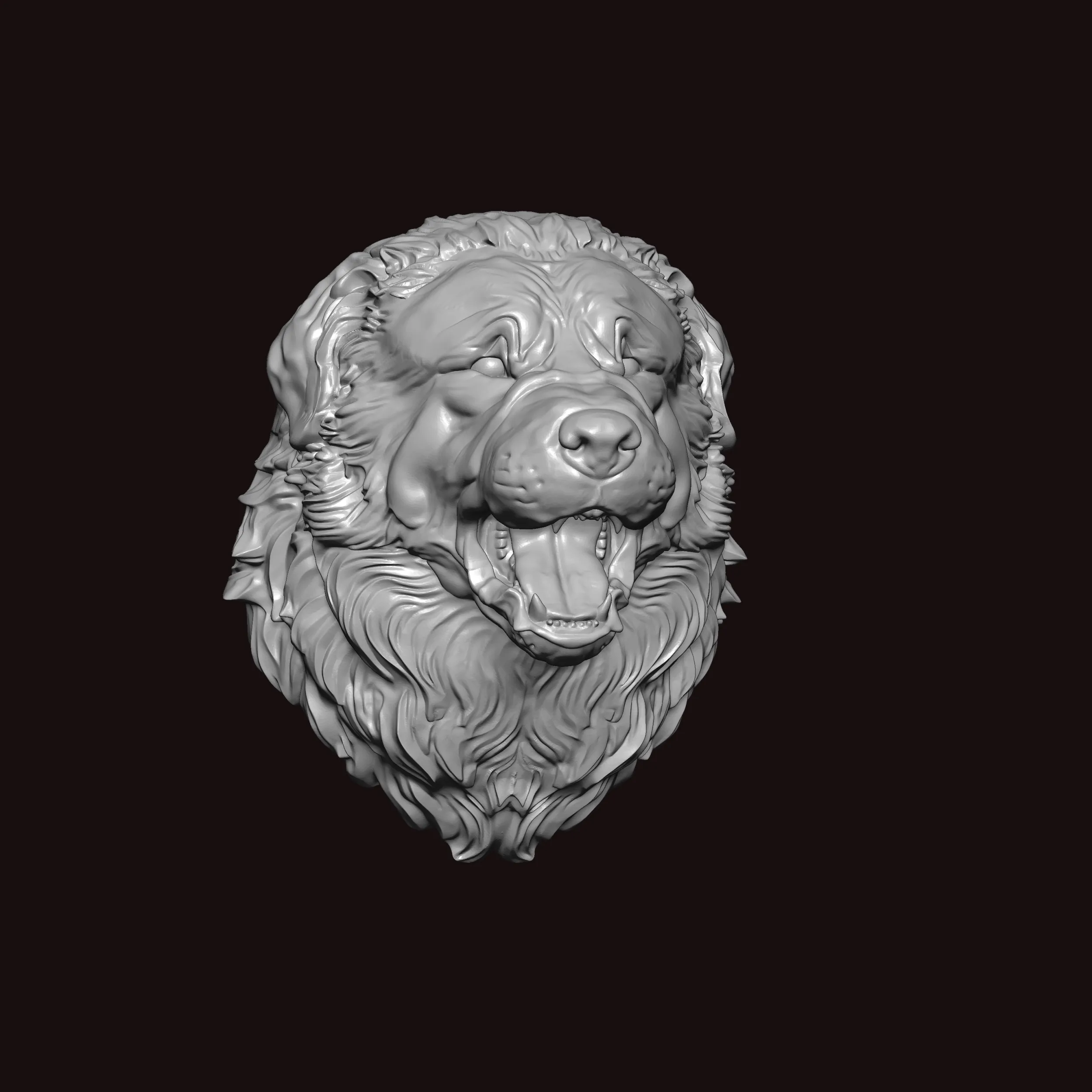 New foundland Dog Face Bust 3D Model .c4d .max .obj .3ds .fbx .stl .blend 