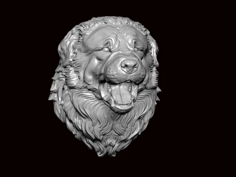 New foundland Dog Face Bust 3D Model