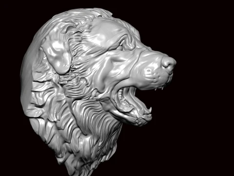 New foundland Dog Face Bust 3D Model