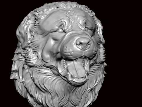 New foundland Dog Face Bust 3D Model