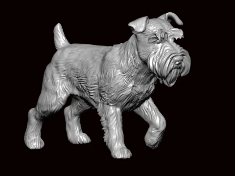 Schnauzer nain marchant Modèle 3D