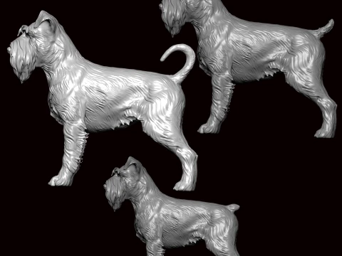 लघु श्नौज़र कुत्ता 3D मॉडल
