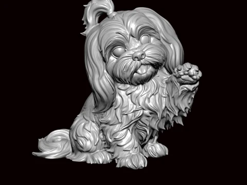 Lhasa Apso Walking 3D Model