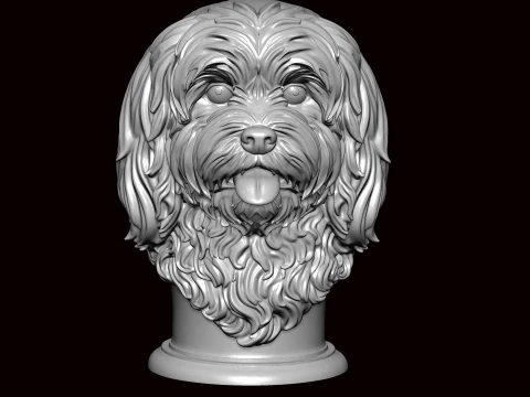 Lhasa apso face bust 3D Model