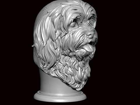 Lhasa apso face bust 3D Model