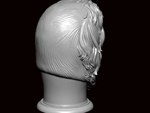 Lhasa apso face bust 3D Model