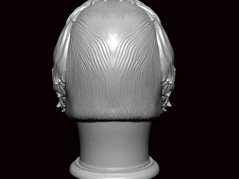 Lhasa apso face bust 3D Model