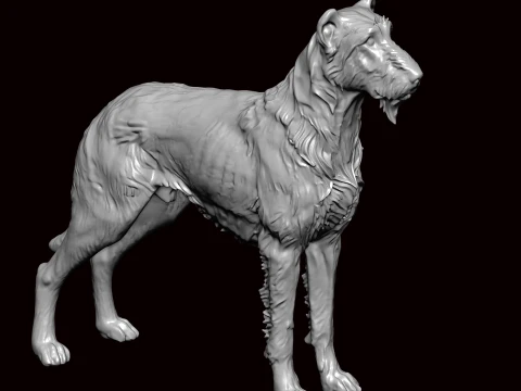 Irish Wolfhound Dog Standing 3D Model