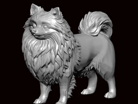 Indian Spitz Standing Pose 3D Model