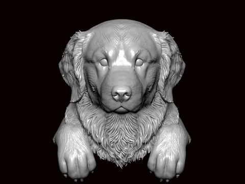 Golden Retriever Peaking Pose 3D Model