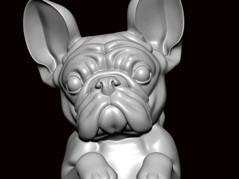 French Bulldog Body 3D Model