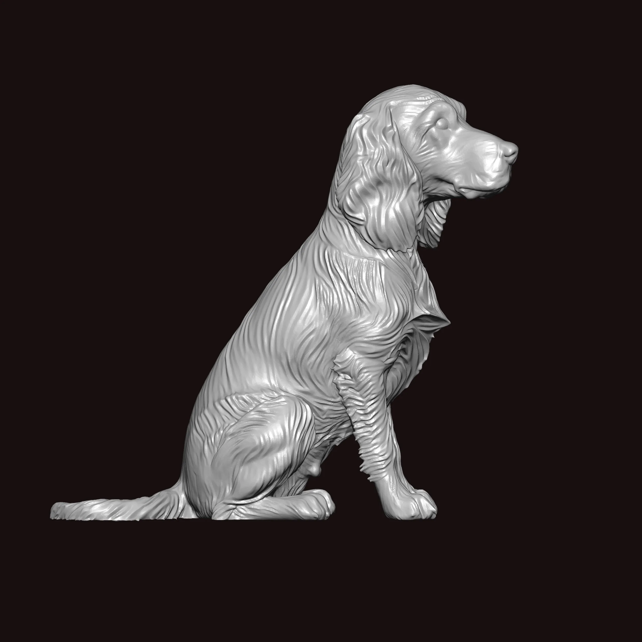 English Springer Seating Pose 3D Model .c4d .max .obj .3ds .fbx .stl .blend