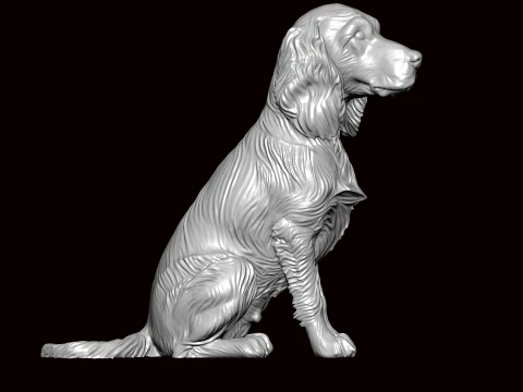 Englische Springer-Sitzhaltung 3D Modell