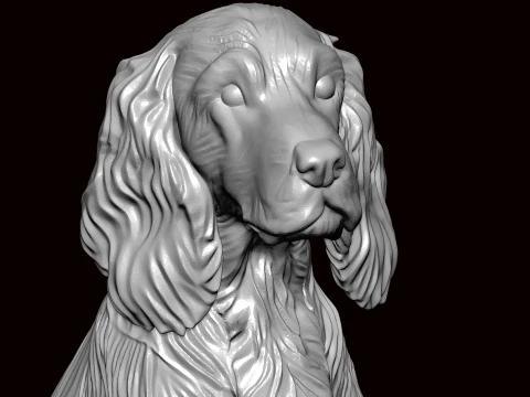 English Springer Seating Pose 3D Model