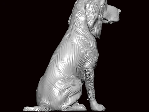 English Springer Seating Pose 3D Model