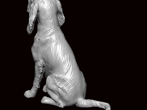 English Springer Seating Pose 3D Model