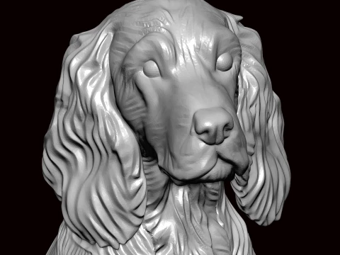 English Springer Seating Pose 3D Model