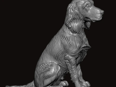 English Springer Seating Pose 3D Model