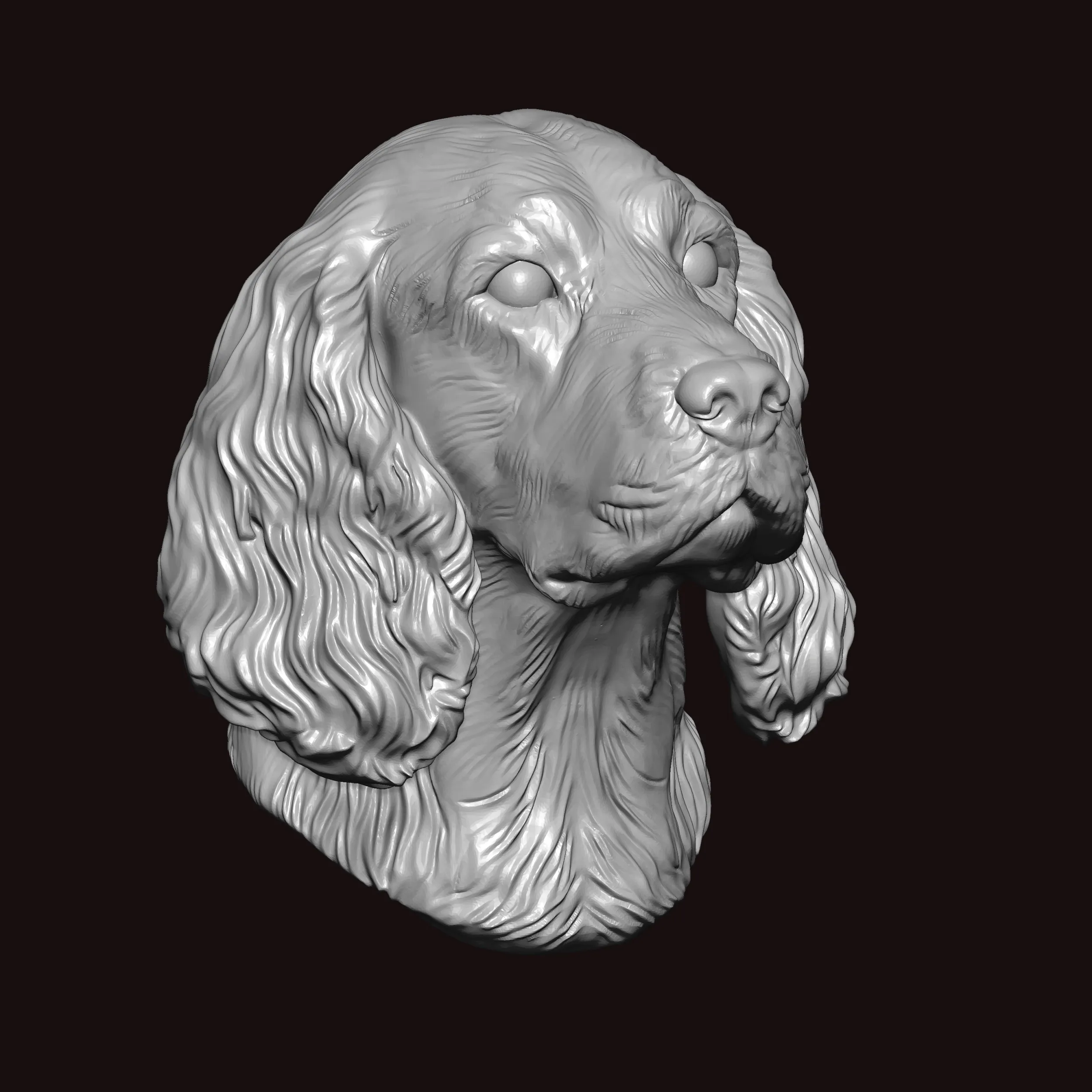 English Springer Face Bust 3D Model .c4d .max .obj .3ds .fbx .stl .blend 