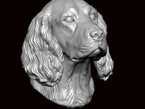 English Springer Face Bust 3D Model