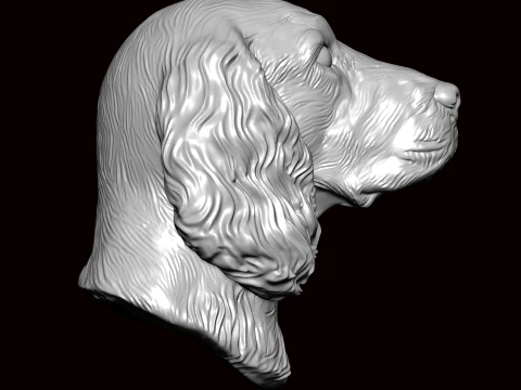 English Springer Face Bust 3D Model