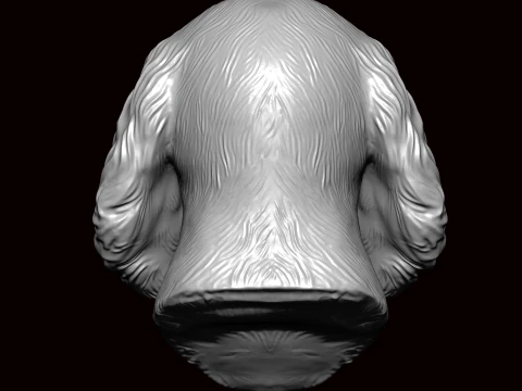 English Springer Face Bust 3D Model