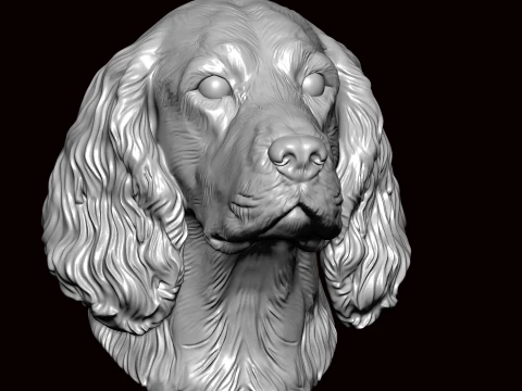 English Springer Face Bust 3D Model