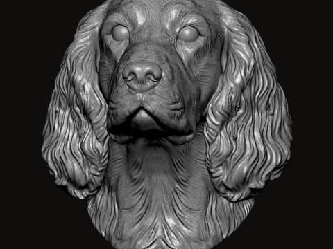 English Springer Face Bust 3D Model