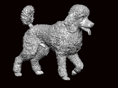 Poodle dog sculpture 3D Model