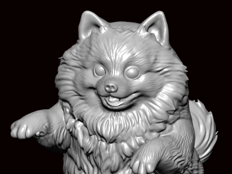 Cute Pomeranian 3D Model