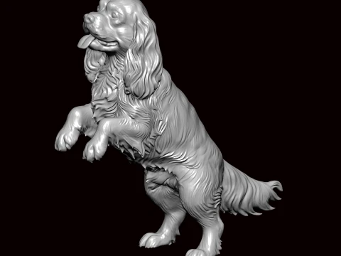 무심한 왕 개 구걸 3D 모델