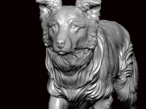 Border Collie Walking Pose 3D Model