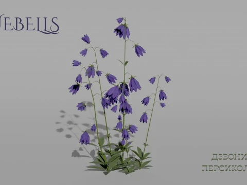 Detailed Bluebell Flower 3D Vegetation 3D Model