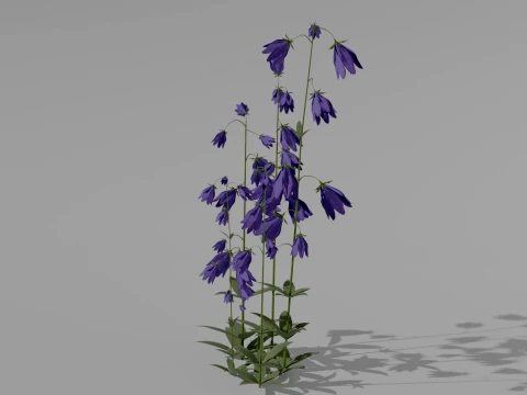 Detailed Bluebell Flower 3D Vegetation 3D Model