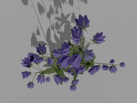 Detailed Bluebell Flower 3D Vegetation 3D Model