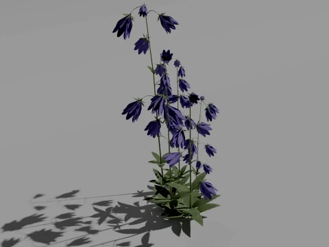 Detailed Bluebell Flower 3D Vegetation 3D Model