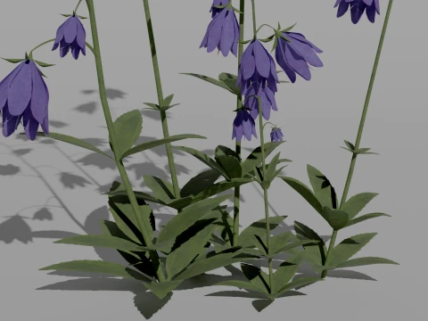 Detailed Bluebell Flower 3D Vegetation 3D Model