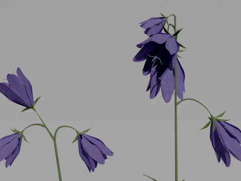 Detailed Bluebell Flower 3D Vegetation 3D Model