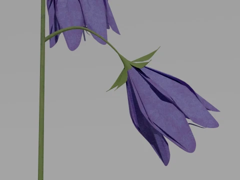 Detailed Bluebell Flower 3D Vegetation 3D Model