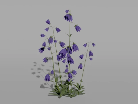 Detailed Bluebell Flower 3D Vegetation 3D Model