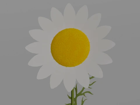 Detailed Chamomile Flower 3D Vegetation 3D Model