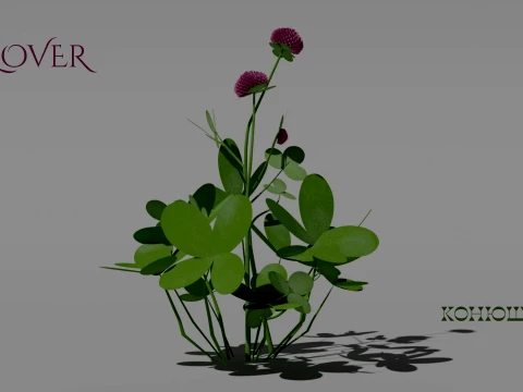 Detailed Clover Flower 3D Vegetation 3D Model