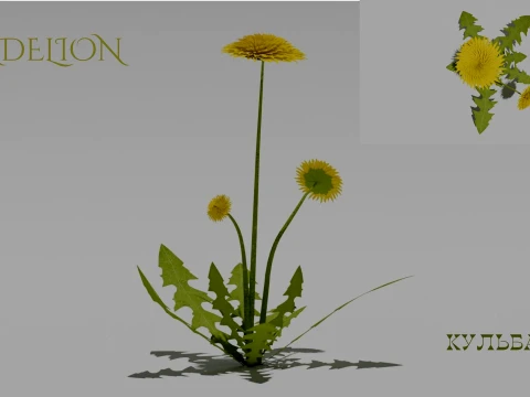 Detailed Dandelion Flower 3D Vegetation 3D Model