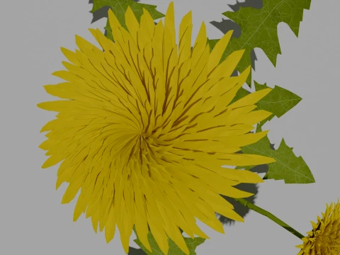 Detailed Dandelion Flower 3D Vegetation 3D Model