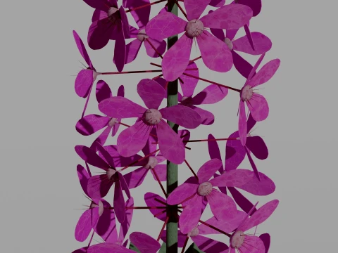 Detailed Fireweed Flower 3D Vegetation 3D Model