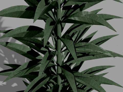 Detailed Fireweed Flower 3D Vegetation 3D Model