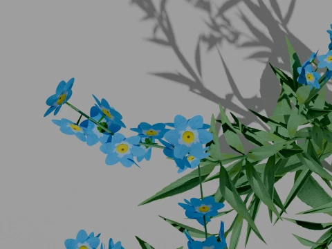 Detailed Forget-Me-Not Flower 3D Vegetation 3D Model